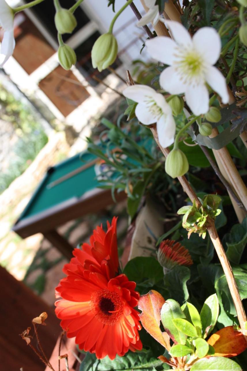 Bed and Breakfast La Cascata Noci Exteriér fotografie
