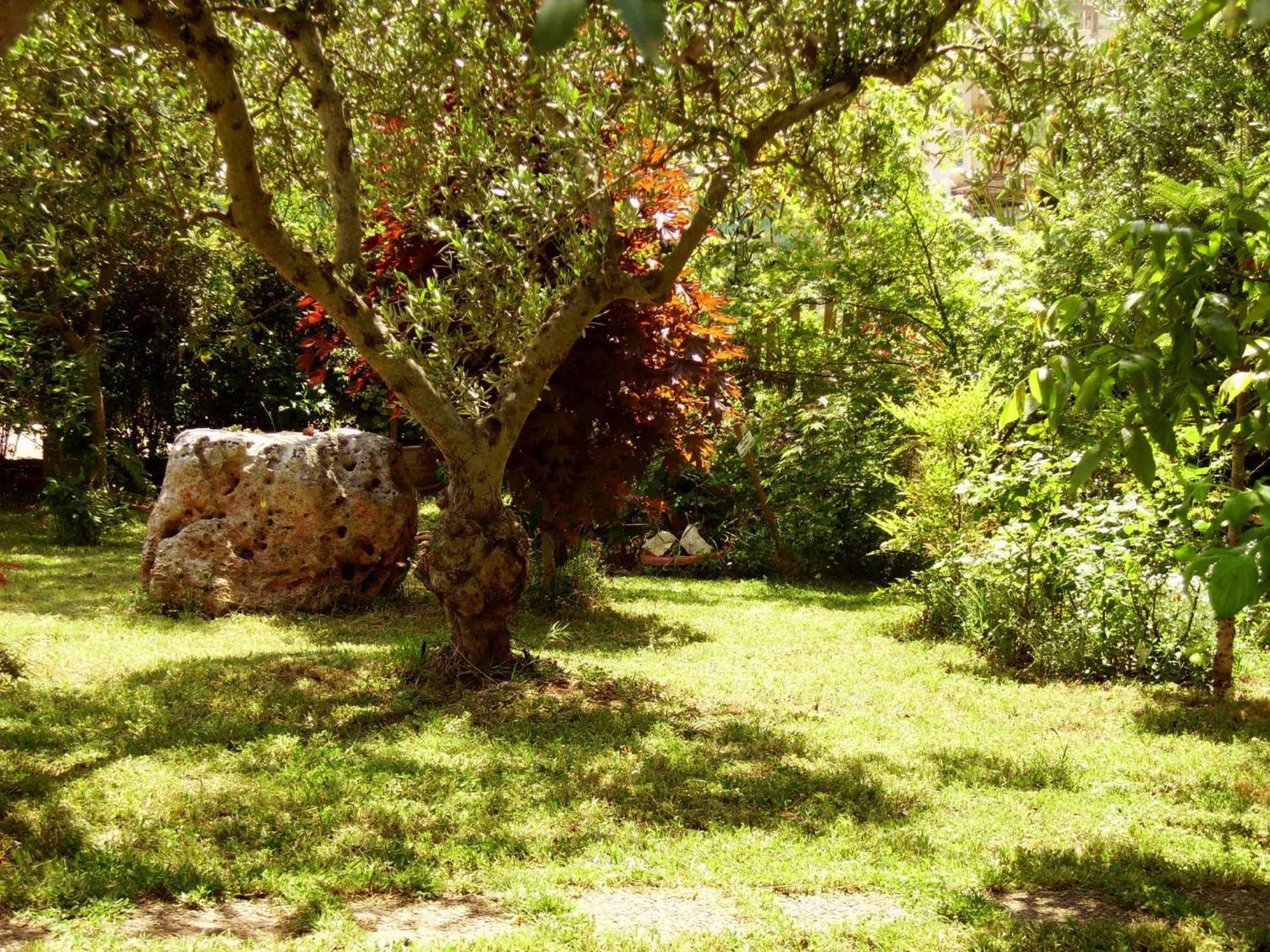 Bed and Breakfast La Cascata Noci Exteriér fotografie